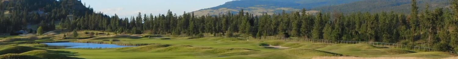 Promotion-Bear&Quail